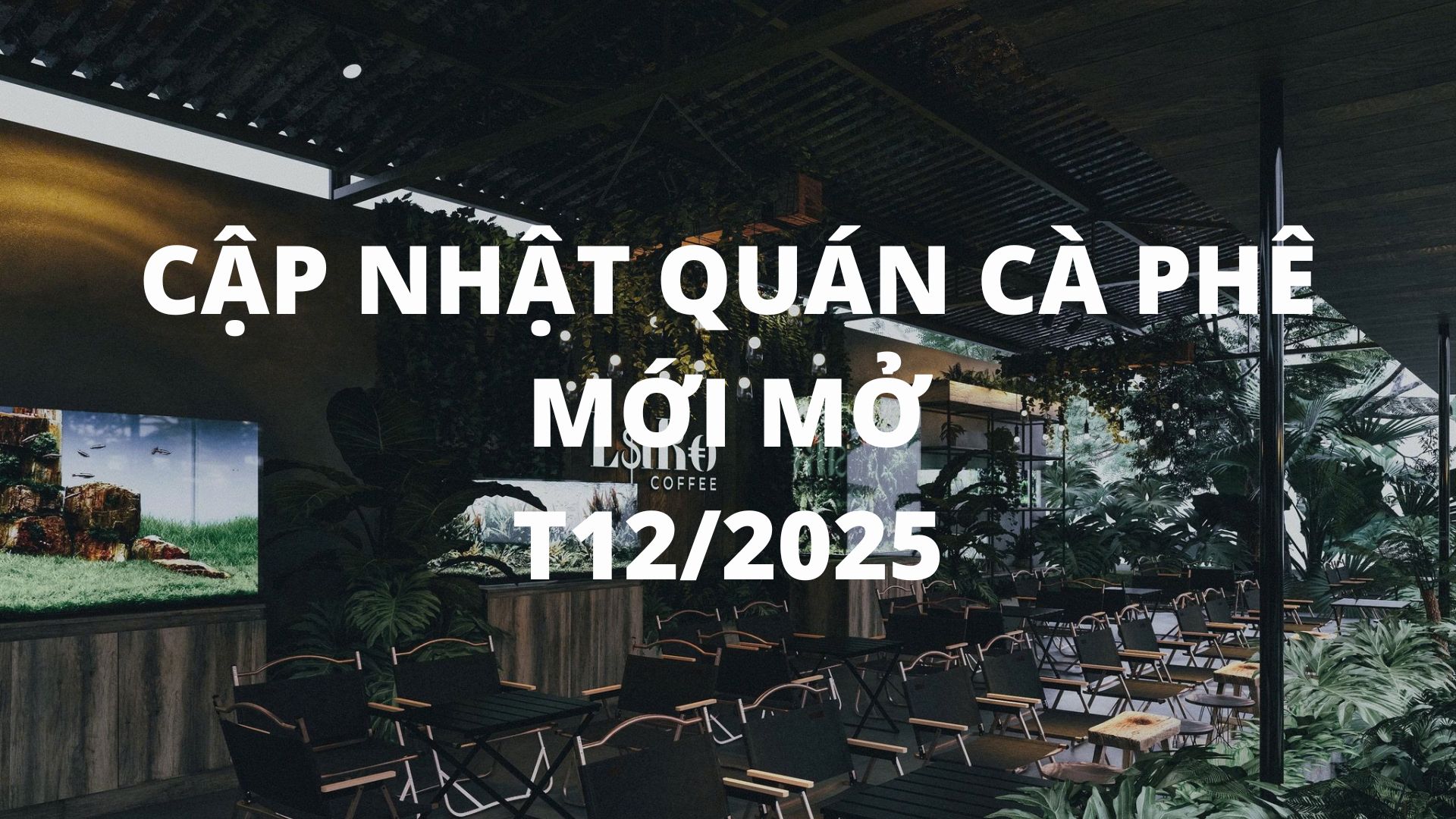 Cập nhật Tháng 12/2025 – TOP những quán cà phê mới Quảng Ngãi